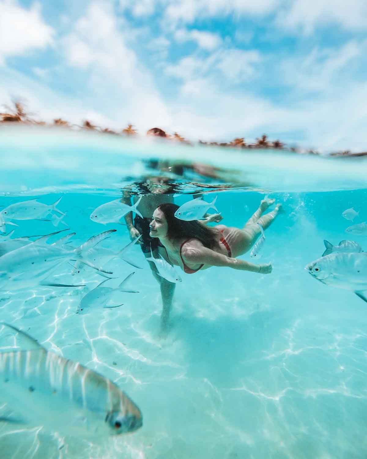 bleudreamxperience snorkeling private boat